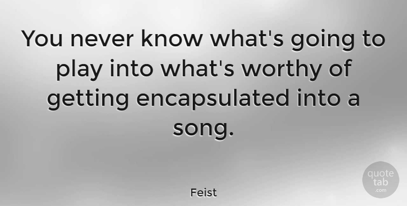 Feist Quote About undefined: You Never Know Whats Going...