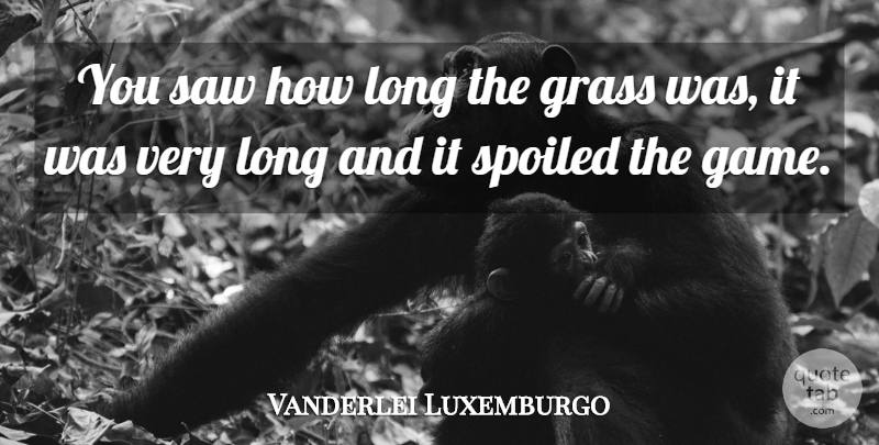 Vanderlei Luxemburgo Quote About Grass, Saw, Spoiled: You Saw How Long The...