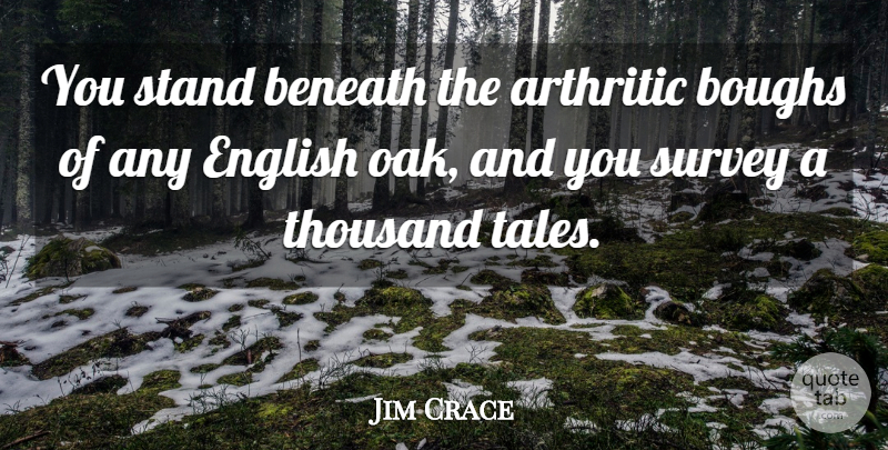 Jim Crace Quote About Beneath, English, Thousand: You Stand Beneath The Arthritic...