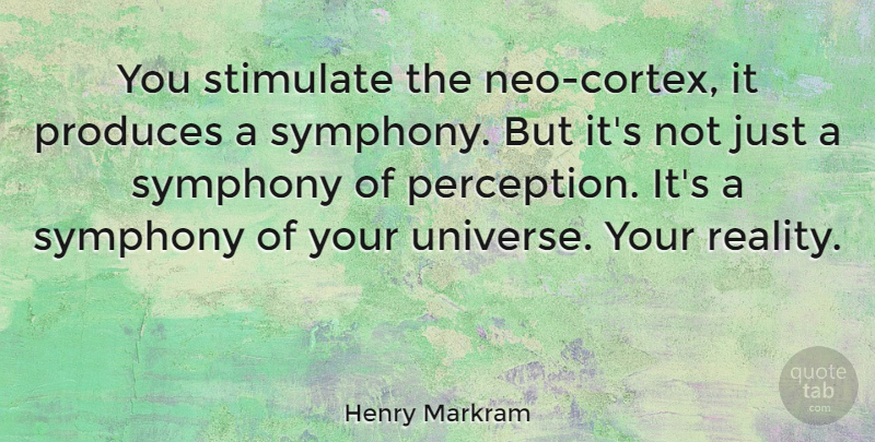 Henry Markram Quote About Produces, Stimulate: You Stimulate The Neo Cortex...
