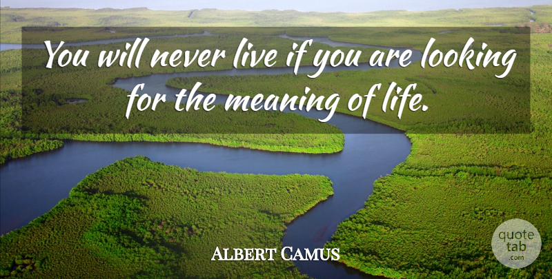 Albert Camus Quote About Life, Happiness, Happy: You Will Never Live If...