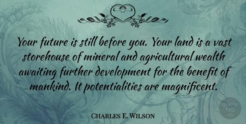 Charles E. Wilson Quote About Benefit, Further, Future, Land, Vast: Your Future Is Still Before...