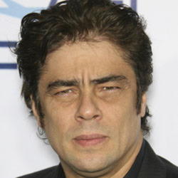 Author Benicio Toro