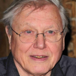 Author David Attenborough