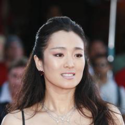 Author Gong Li