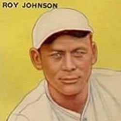 Author Roy Johnson