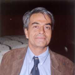 Author Upamanyu Chatterjee