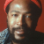 Author Marvin Gaye