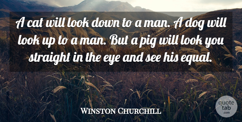 Winston Churchill Quote About Cat, Dog, Eye, Pig, Straight: A Cat Will Look Down...