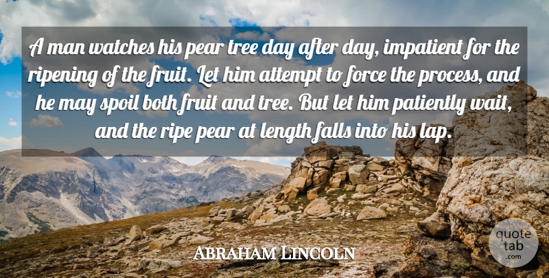 Abraham Lincoln Quote About Inspiring, Moving, Fall: A Man Watches His Pear...