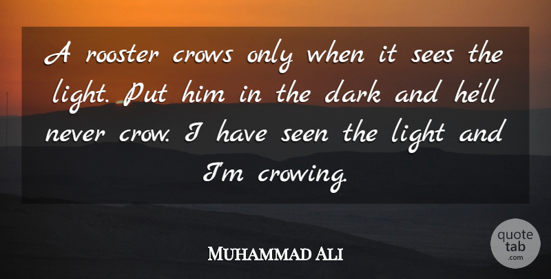 Muhammad Ali Quote About Dark, Greatness, Light: A Rooster Crows Only When...