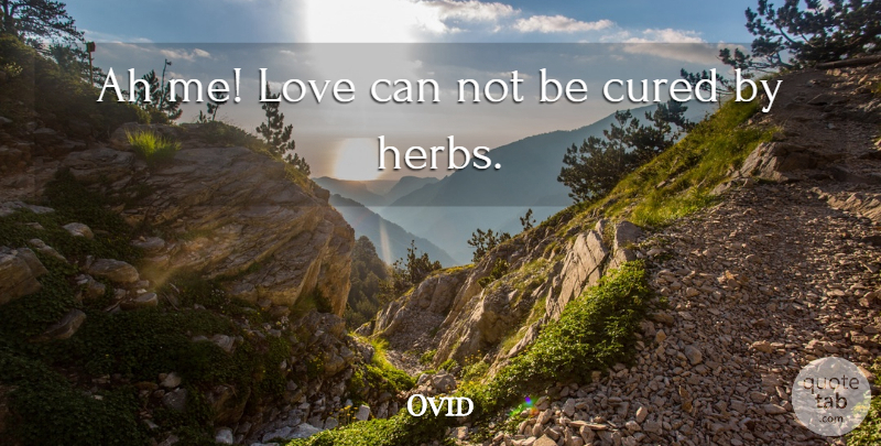 Ovid Quote About Life, Herbs, Can Not: Ah Me Love Can Not...