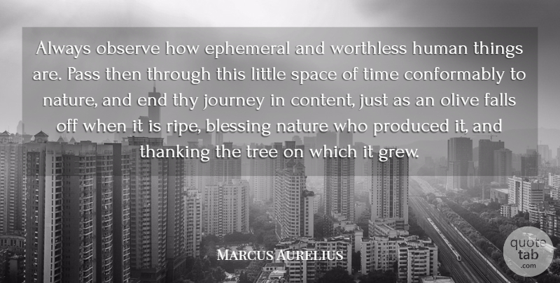 Marcus Aurelius Quote About Blessing, Ephemeral, Falls, Human, Humankind: Always Observe How Ephemeral And...