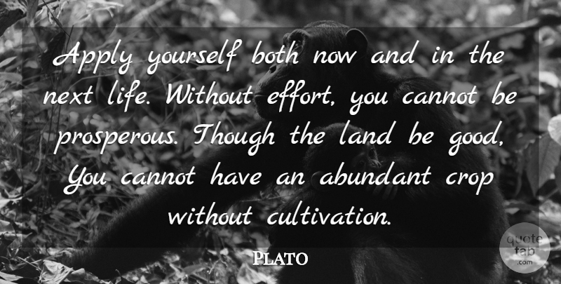 Plato Quote About Sports, Commitment, Land: Apply Yourself Both Now And...