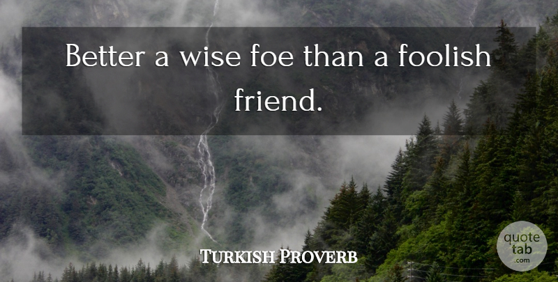 Turkish Proverb Quote About Foe, Foolish, Proverbs, Wise: Better A Wise Foe Than...