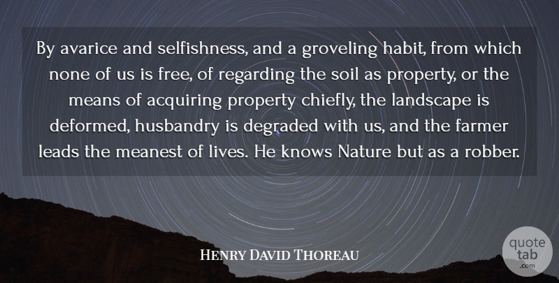 Henry David Thoreau Quote About Mean, Selfishness, Landscape: By Avarice And Selfishness And...