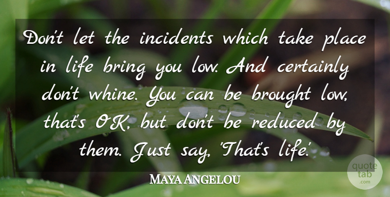 Maya Angelou Quote About Lows, Incidents, Place In Life: Dont Let The Incidents Which...