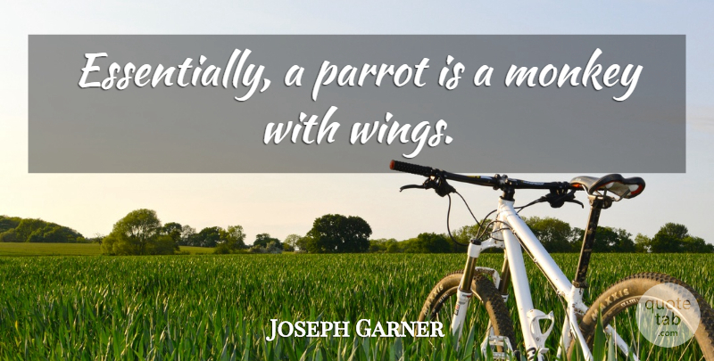 Joseph Garner Quote About Monkey, Parrot: Essentially A Parrot Is A...
