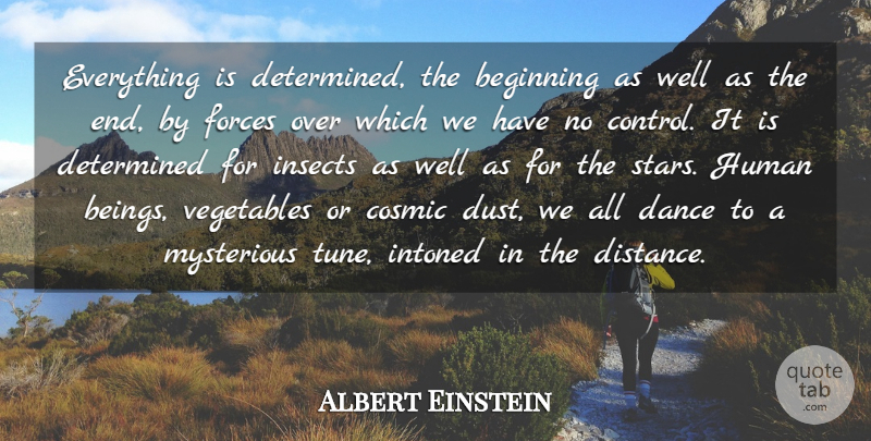 Albert Einstein Quote About Inspirational, Life, Spiritual: Everything Is Determined The Beginning...