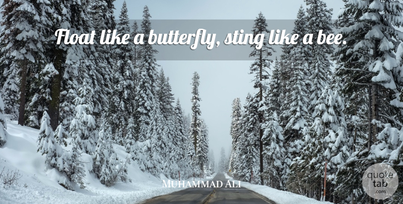 Muhammad Ali Quote About Strength, Sports, Inspiration: Float Like A Butterfly Sting...