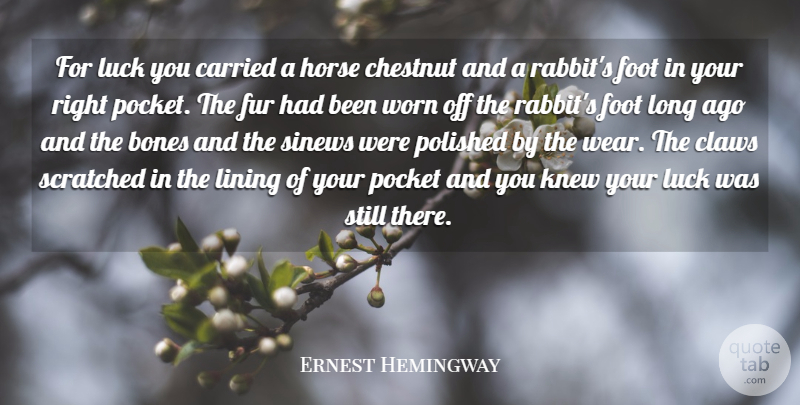 Ernest Hemingway Quote About Horse, Long Ago, Feet: For Luck You Carried A...