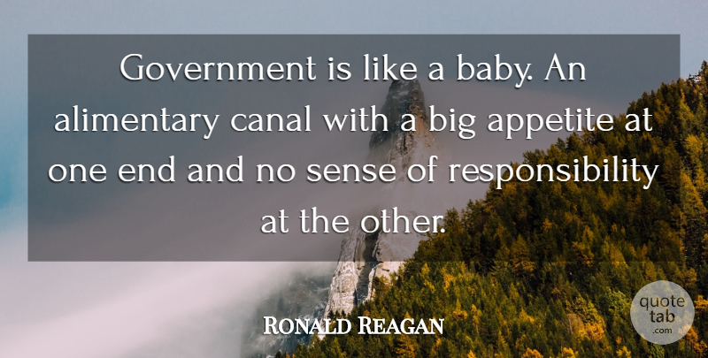 Ronald Reagan Quote About Funny, Baby, Military: Government Is Like A Baby...