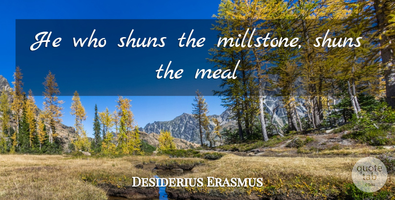 Desiderius Erasmus Quote About Work, Meals: He Who Shuns The Millstone...