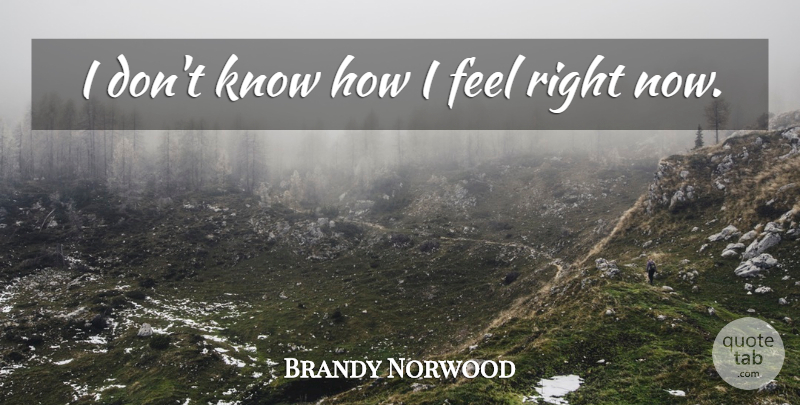 Brandy Norwood Quote About Feels Right, Knows, Know How: I Dont Know How I...
