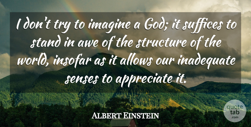 Albert Einstein Quote About Appreciate, Awe, Imagine, Inadequate, Insofar: I Dont Try To Imagine...