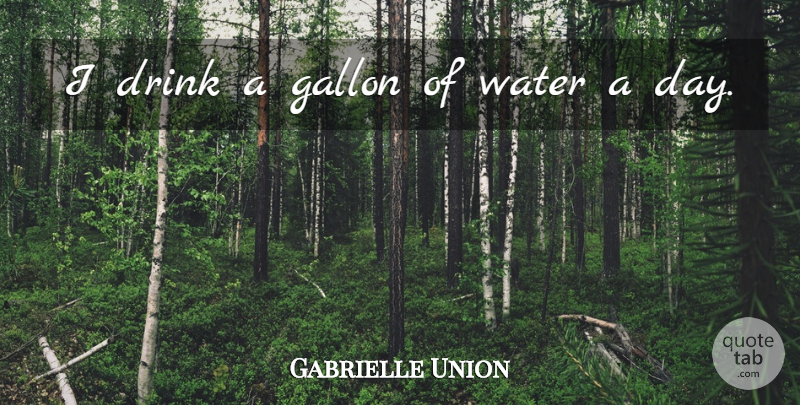 Gabrielle Union Quote About Water, Drink, Gallons: I Drink A Gallon Of...