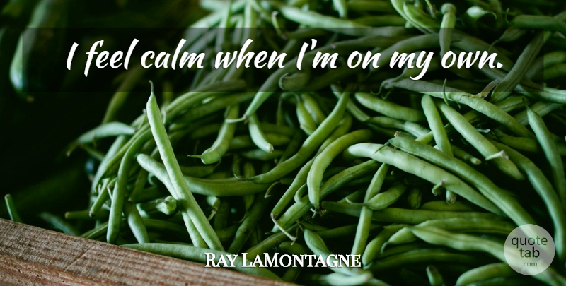 Ray LaMontagne Quote About Calm, Feels, My Own: I Feel Calm When Im...