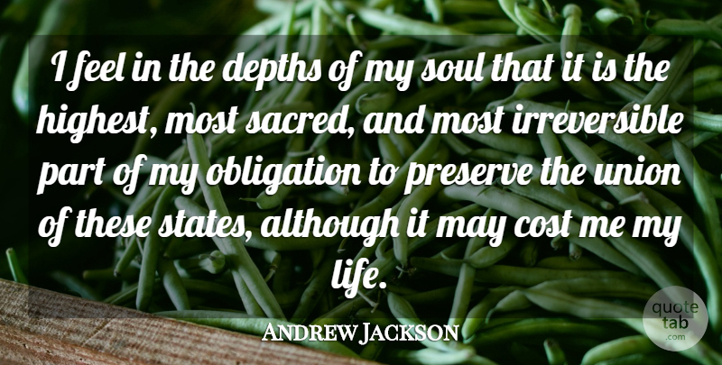 Andrew Jackson Quote About Presidential, Soul, Cost: I Feel In The Depths...