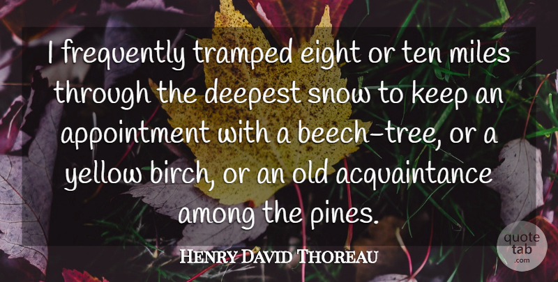 Henry David Thoreau Quote About Nature, Yellow, Eight: I Frequently Tramped Eight Or...