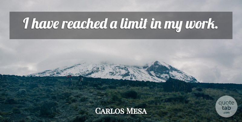Carlos Mesa Quote About Limits: I Have Reached A Limit...