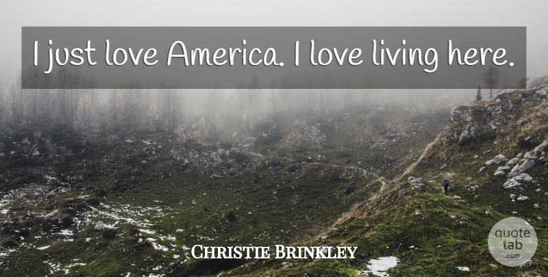 Christie Brinkley Quote About Love: I Just Love America I...