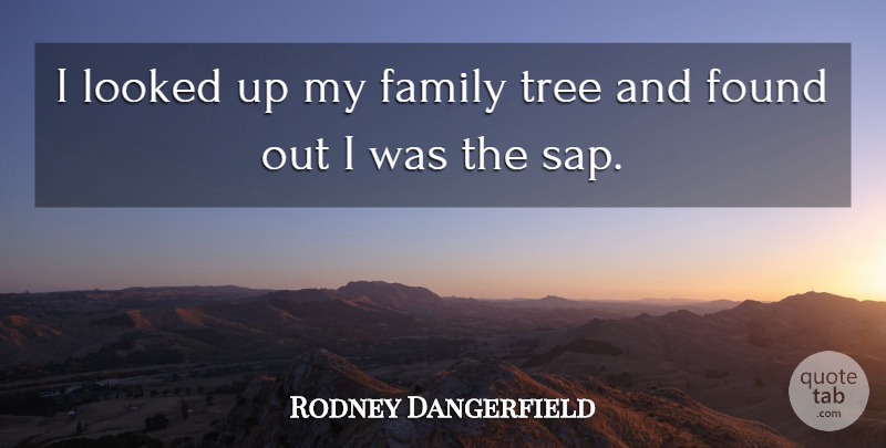 Rodney Dangerfield Quote About Funny, Family, Witty: I Looked Up My Family...