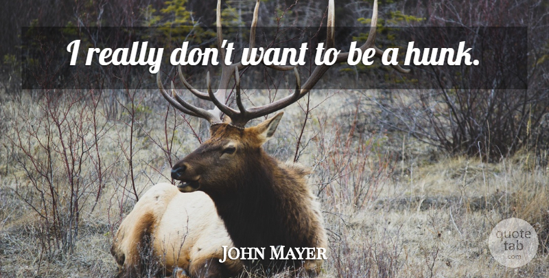John Mayer Quote About Want, Hunk: I Really Dont Want To...