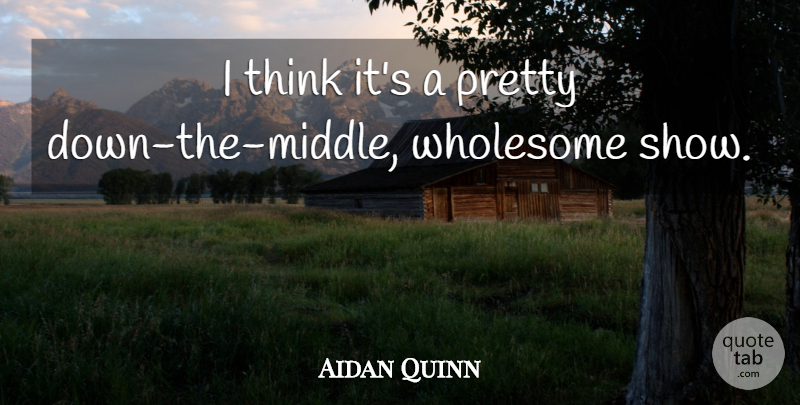 Aidan Quinn Quote About Wholesome: I Think Its A Pretty...