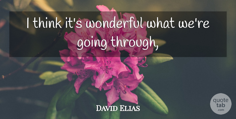 David Elias Quote About Wonderful: I Think Its Wonderful What...