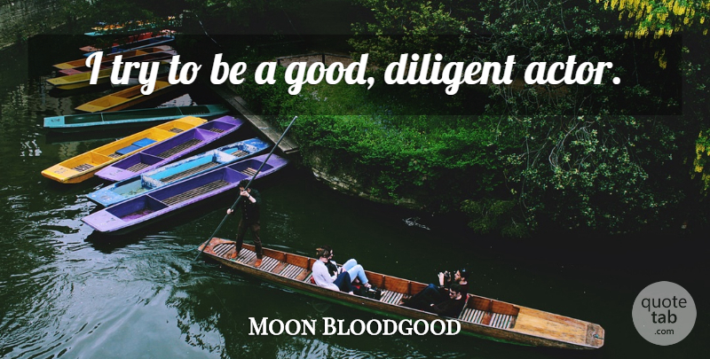 Moon Bloodgood Quote About Trying, Actors, Diligent: I Try To Be A...