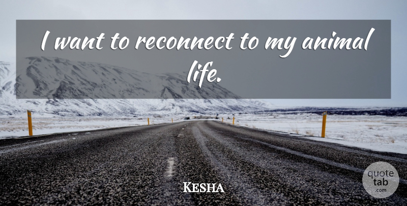 Kesha Quote About Life: I Want To Reconnect To...
