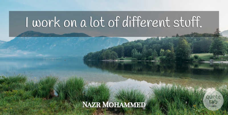 Nazr Mohammed Quote About Work: I Work On A Lot...