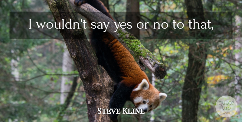 Steve Kline Quote About Yes: I Wouldnt Say Yes Or...