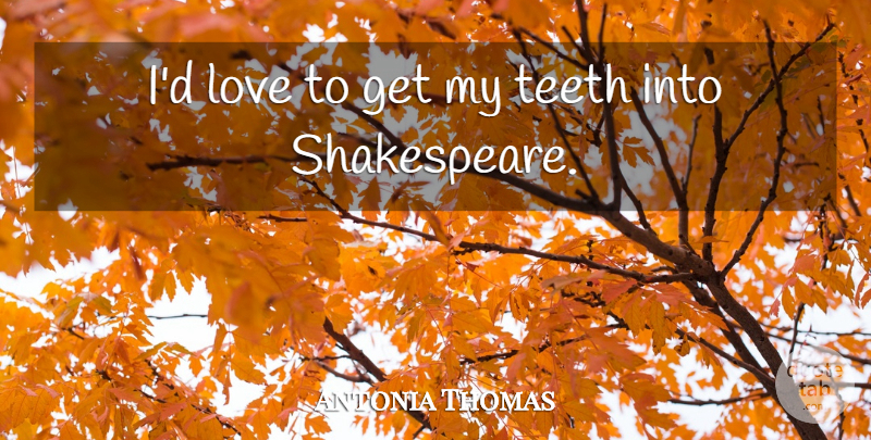 Antonia Thomas Quote About Teeth: Id Love To Get My...