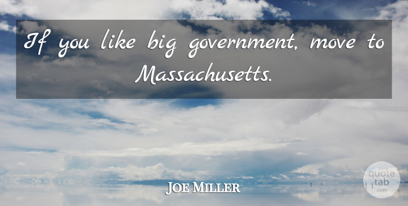 Joe Miller Quote About Government: If You Like Big Government...