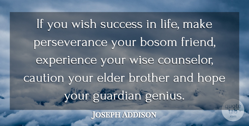 Joseph Addison Quote About Bosom, Brother, Caution, Elder, Experience: If You Wish Success In...