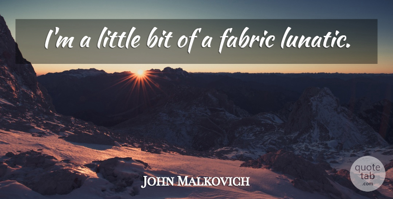 John Malkovich Quote About Fabric, Littles, Lunatic: Im A Little Bit Of...