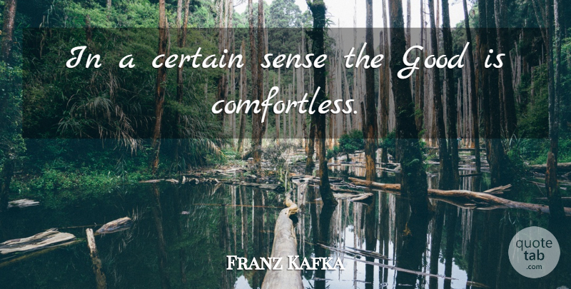 Franz Kafka Quote About Goodness, Certain: In A Certain Sense The...