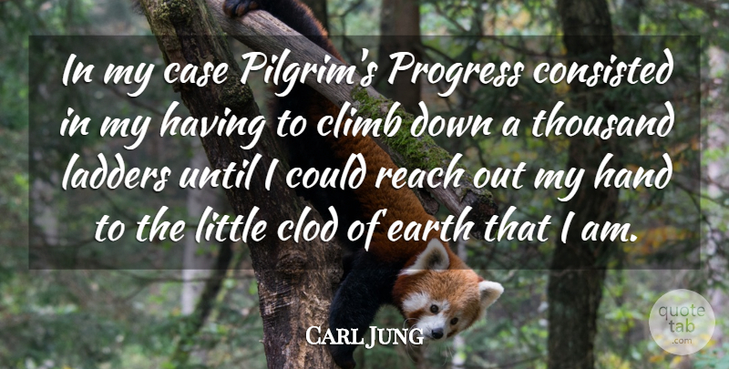 Carl Jung Quote About Hands, Hiking, Progress: In My Case Pilgrims Progress...