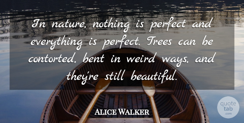 Alice Walker Quote About Beauty, Beautiful, Nature: In Nature Nothing Is Perfect...